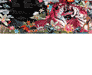 Switch Main Image