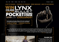 Lynx Bullit